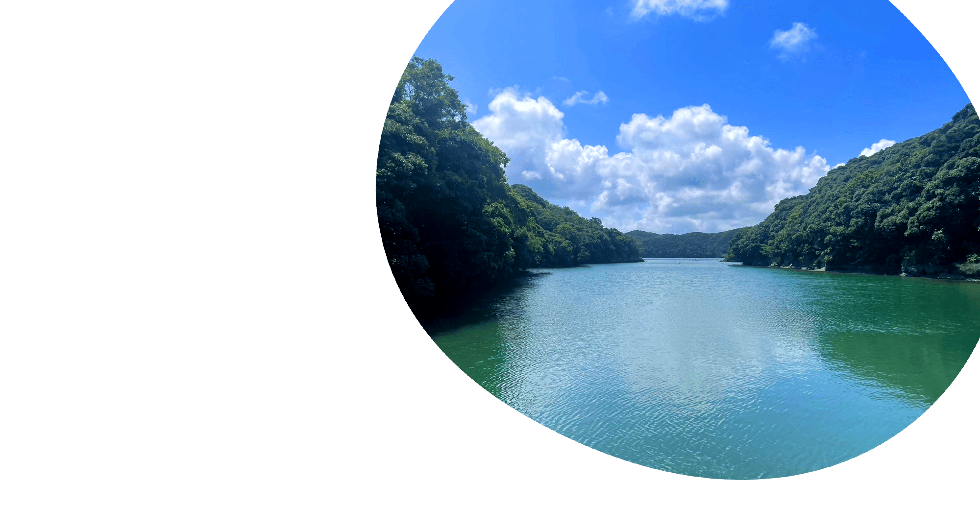 対馬のあふれる大自然を感じてみませんか？